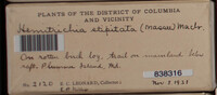 Image Associated With the Occurence